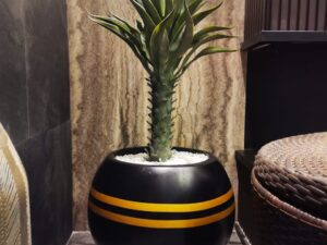 Planter for indoor plants