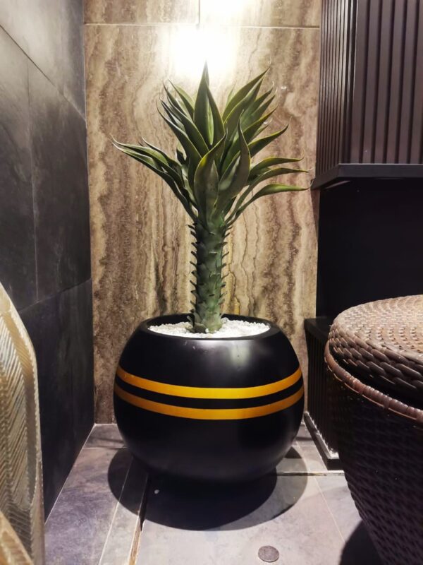 Planter for indoor plants