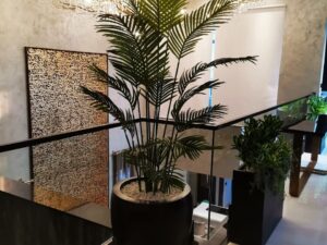 Planter for indoor plant