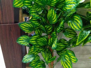 AMAL Artificial Plant