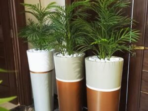 Planter for indoor plant