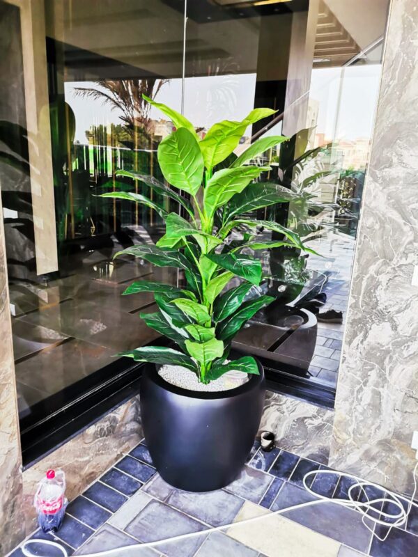 Planter for indoor plant