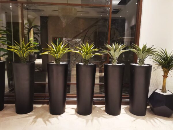 Planter for indoor plant